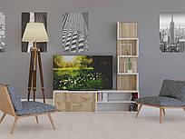 Меблева стінка AFINA Білий/Дуб Тахо