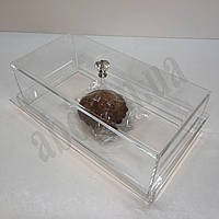 Кришка для десертів з піддоном 15х30см