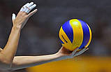 М'яч волейбольний Mikasa MVA 300, склеєний, PU, мікрофібра, фото 9