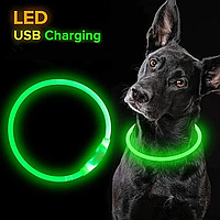 "GlowCollar - Светодиодный Ошейник для Собак с USB Зарядкой, Размер S-35 см, M-50 см, L-70 см"