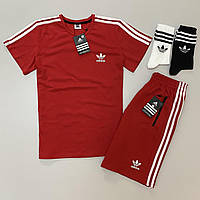 Костюм спортивний чоловічий комплект адідас футболка і шорти adidas 2 пари шкарпеток в подарунок Shoper