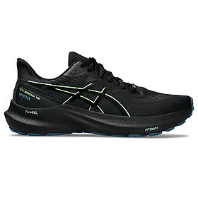 Кросівки для бігу чоловічі Asics GT-2000 12 GTX 1011B687-001