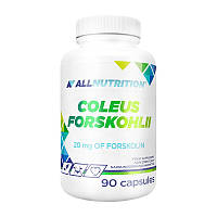 Колеус форсколии AllNutrition Coleus Forskohlii 90 caps