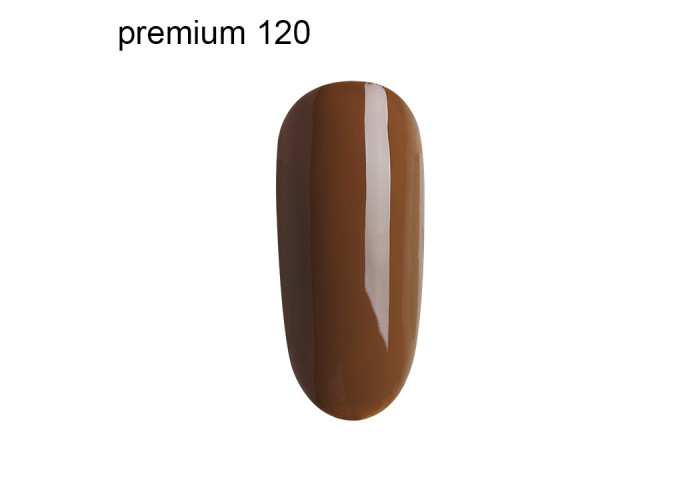 Гель Лак Premium №120