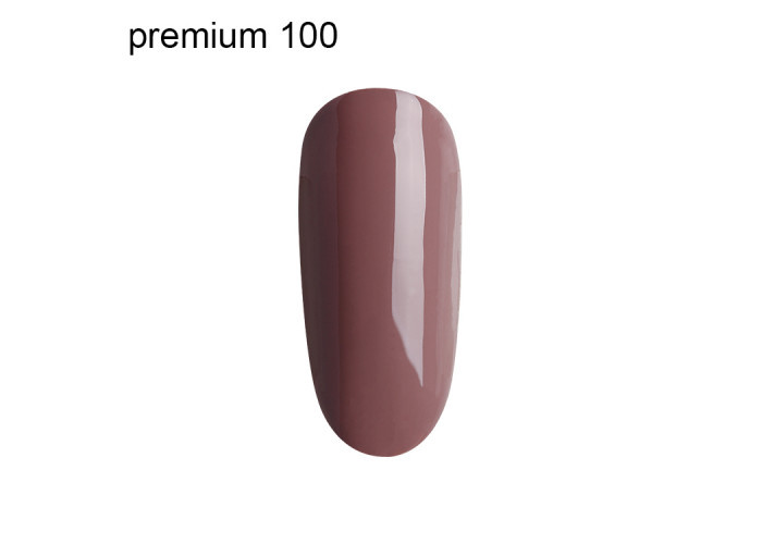 Гель Лак Premium №100
