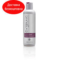 Шампунь для светлых волос Anti-yellow Organic Color Systems Shampoo Status Quo Silver,250мл
