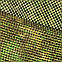 Маскувальний шарф-сітка SFVS 2.0 Pencott Green, фото 5