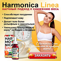 Harmonica Linea - Капли для похудения (Гармоника Линеа)