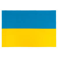 Прапор Vinga Україна, держударсвяний, 60*90 см VFUS090G JLK