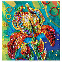 Набор для вышивки бисером "Разноцветный ирис" Abris Art AM-203 на натуральном холсте, Vse-detyam