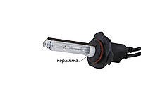 Ксеноновая лампа 1 шт Infolight HB3 9005 6000K +50%