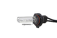 Ксеноновая лампа 1 шт Infolight HB4 9006 4300K +50%