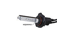 Ксенонові лампи Infolight HB3 9005 4300K +50%