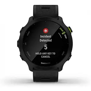 Смарт-годинник Garmin Forerunner 55 Black (010-02562-10)