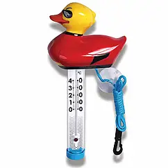 Термометр-іграшка Kokido для басейну TM08CB/18 "Супер качка"