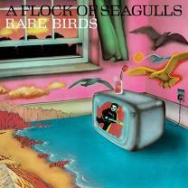 A Flock Of Seagulls - Rare Birds 2023 Bmg/Ger. Mint Вінілова пластинка (art.245369)