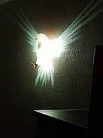 Настенный ночной светильник декор многоцветный Белоголовий орлан с пультом на аккумуляторе