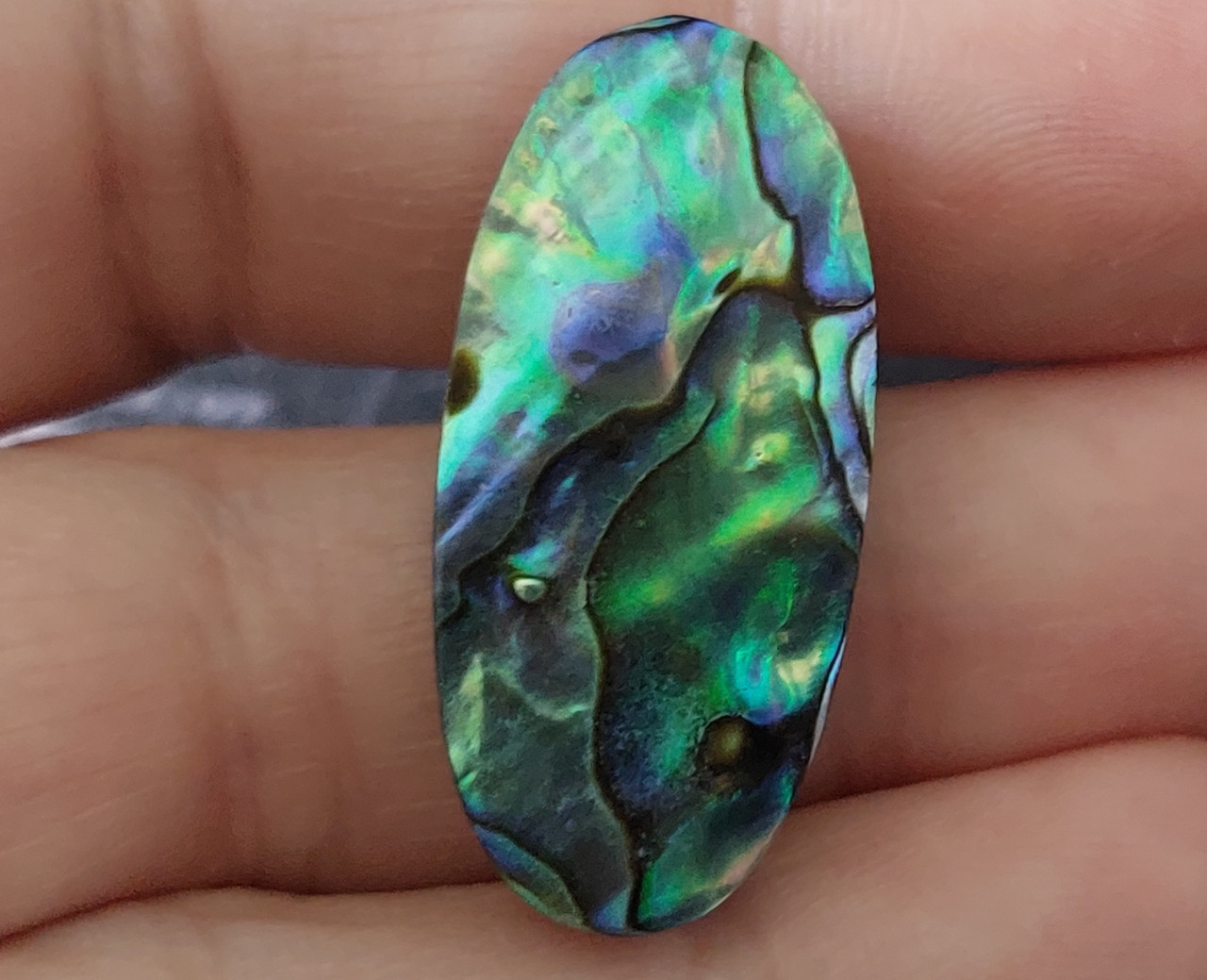 Абалон 23.1Ct