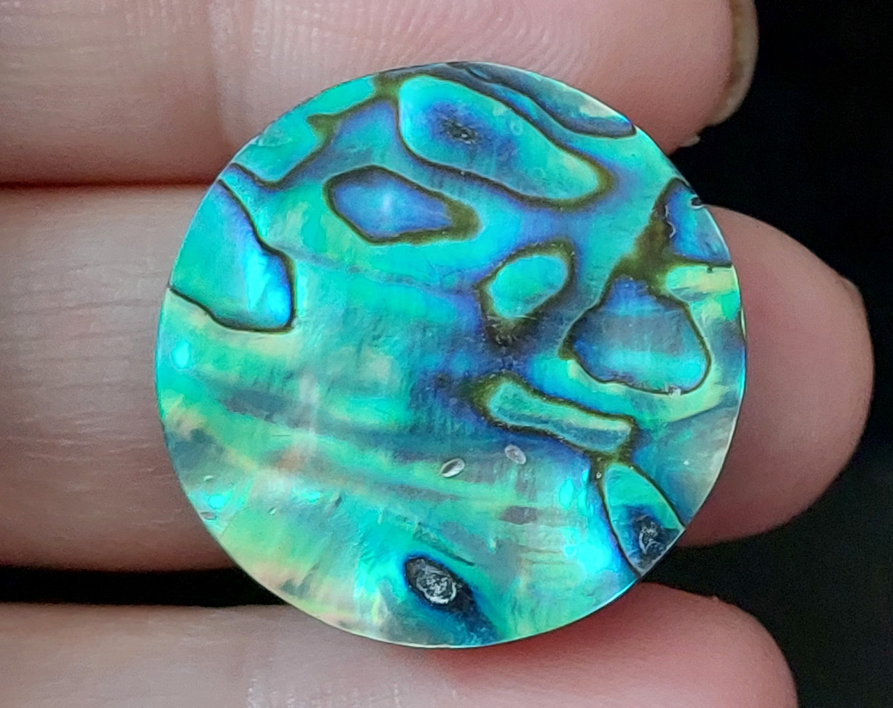 Абалон 32.25 Ct, фото 1