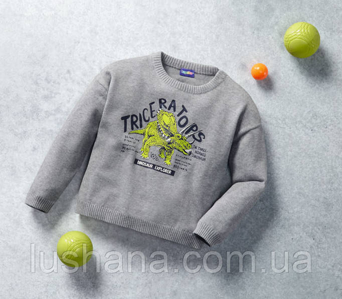 Дитячий джемпер светр Lupilu на хлопчика /110-116 / 4-6, фото 1