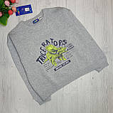 Дитячий джемпер светр Lupilu на хлопчика /110-116 / 4-6, фото 3