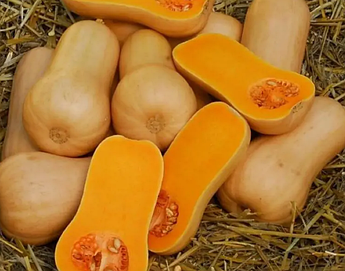 Аріель F1 1000 шт Sakura