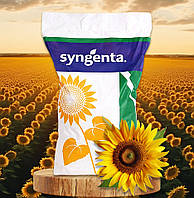 Алькантара Syngenta (Класичний), насіння соняшника Alcantara Сингента