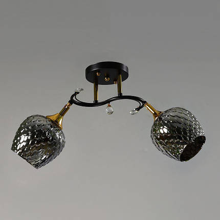 Люстра стельова на два плафони, фото 1