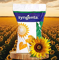НК Фортімі Syngenta (під Євро-Лайтнінг), насіння соняшника NK Fortimi Сингента