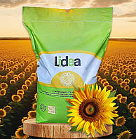 ЕС Ізіда Euralis (Lidea) Класичний, насіння соняшника Ishida Євраліс (Лідеа)