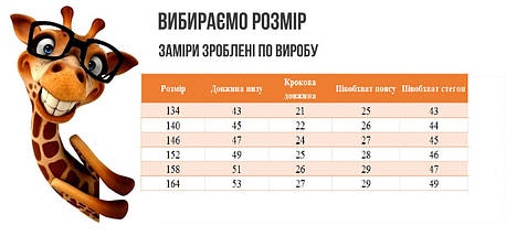 2740-95син Шорти для хлопчика сині з кишенями Тм Авекс розмір 134 см, фото 4
