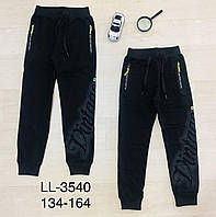 Спортивные штаны для мальчика оптом, Sincere, 134-164 см, № LL-3540