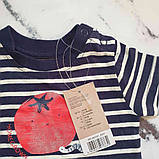 Костюм (футболка + шорти) Lupilu на дівчинку немовля р.50-56 - 0-2 місяці (більшомір), 76830, фото 2