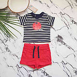 Костюм (футболка + шорти) Lupilu на дівчинку немовля р.50-56 - 0-2 місяці (більшомір), 76830, фото 3