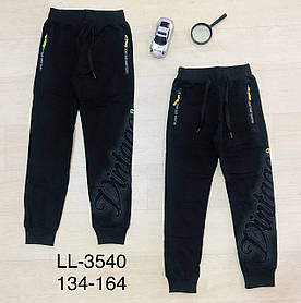 Спортивные брюки для мальчиков оптом,  Sincere, 134-164 рр., арт. LL-3540