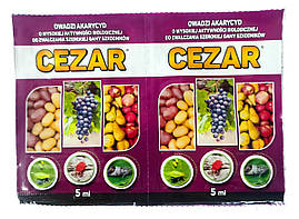 Інсектоакарицид Цезар 5 мл.