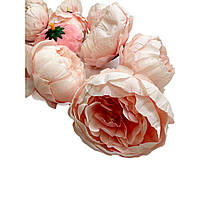 Голова пиона розово-персиковая, 6 см