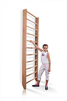 Шведська стінка — «Baby 0-240»