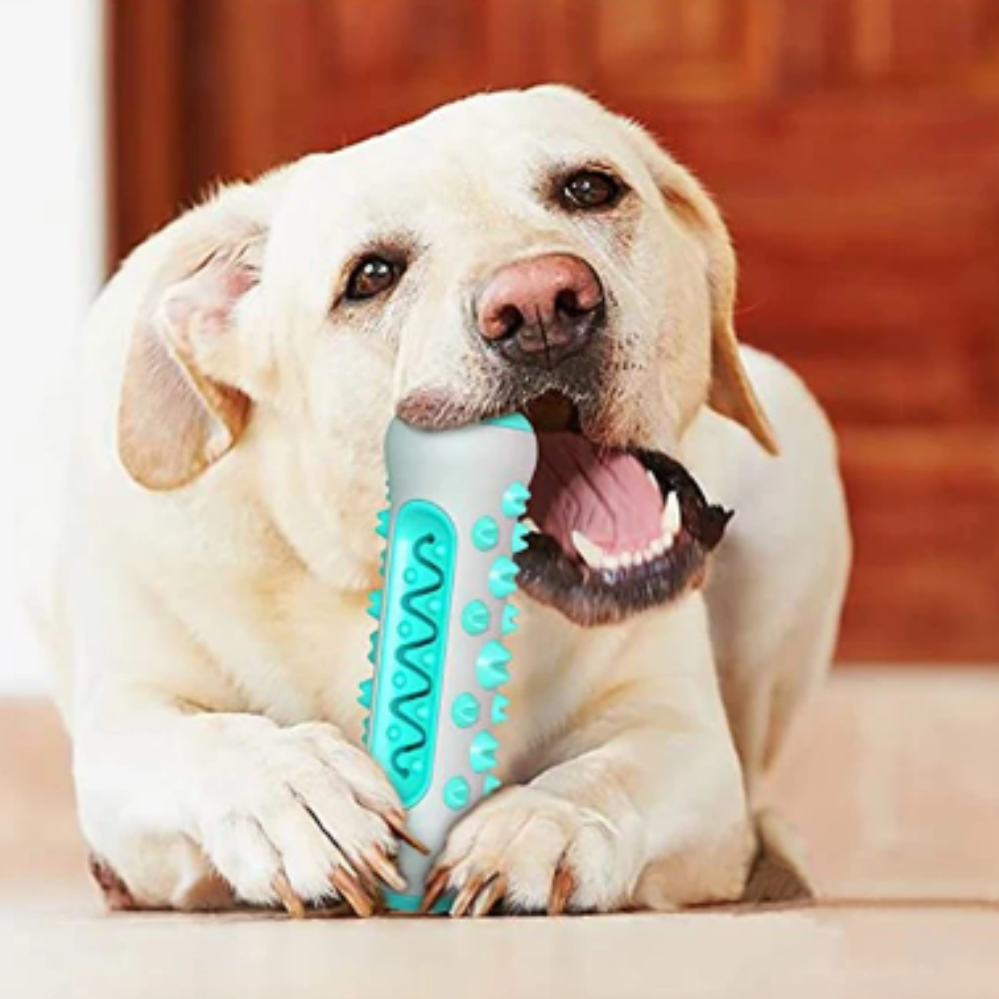 Жувальна іграшка кісточка для собак Tooth brush dog Для чищення зубів та ясен для цуценят