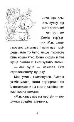 Книга для дітей "Історії порятунку. Загублене кошеня. Книга 9" | АССА, фото 5