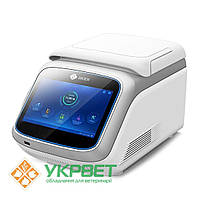 Термоциклер GeneExplorer