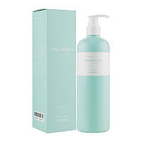 [VALMONA] Шампунь для волосся ЗВОЛОЖЕННЯ Recharge Solution Blue Clinic Shampoo, 480 мл