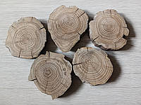 Срез дерева шлифованный для создания панно (5 шт) 7-8 см.