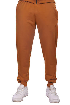 Штани спортивні чоловічі Calvin Klein 24-0042-2 гірчичні, фото 3