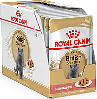 Royal Canin British Shorthair Adult Влажный корм для кошек породы Британская короткошерстная 12x85 г