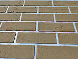 Гнучка цегла (гнучкий  клінкер) на сітці з захисною рлівкою МК-17, фото 5