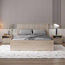 Спальня комплект з ЛДСП Брус Gerbor Дуб сонома/Німфея альба, фото 2