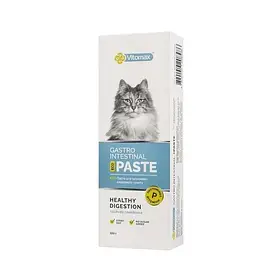ЕКО паста для шлунково-кишкового тракту 100 г Вітомакс (4820150208486)