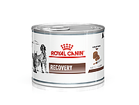 Royal Canin Recovery Влажная диета для кошек и собак в период восстановления после болезни 12x195 г