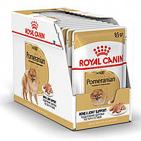 Royal Canin Pomeranian Adult Влажный корм для собак породы Померанский шпиц 12×85 г